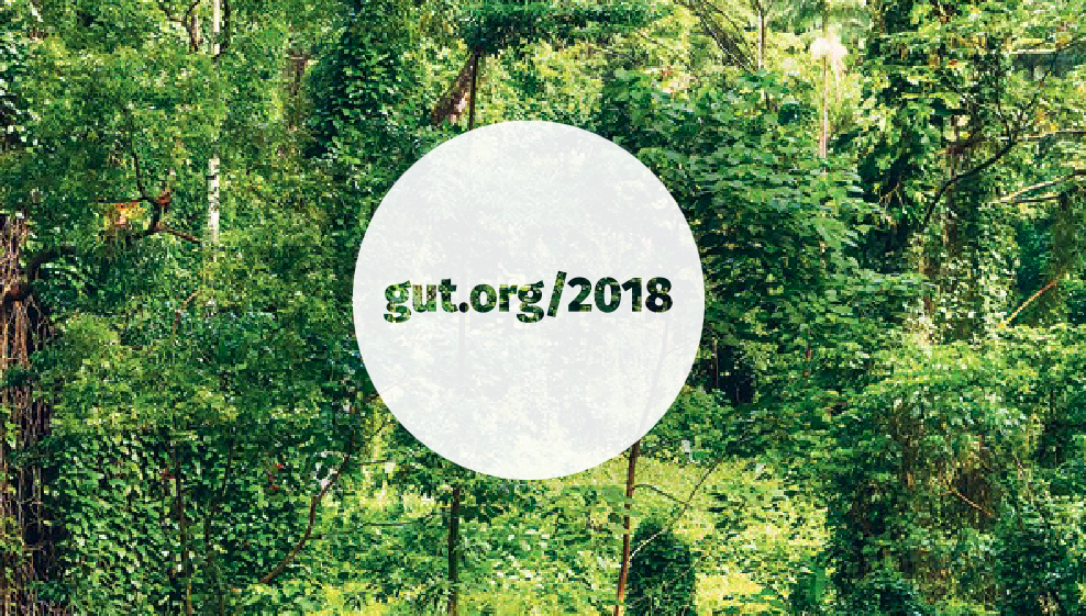 gut.org Wirkungsbericht 2018